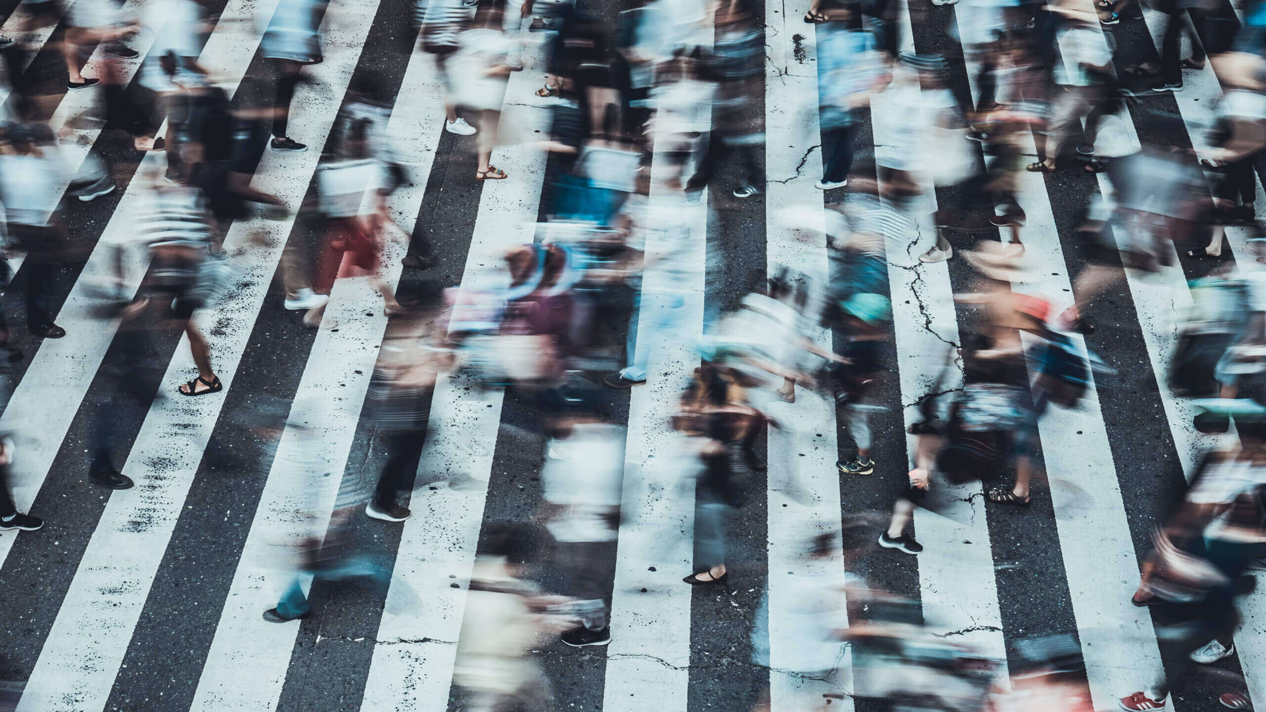 S&P 500 Market Agility Index: Protecting client portfolios with rapid asset allocation