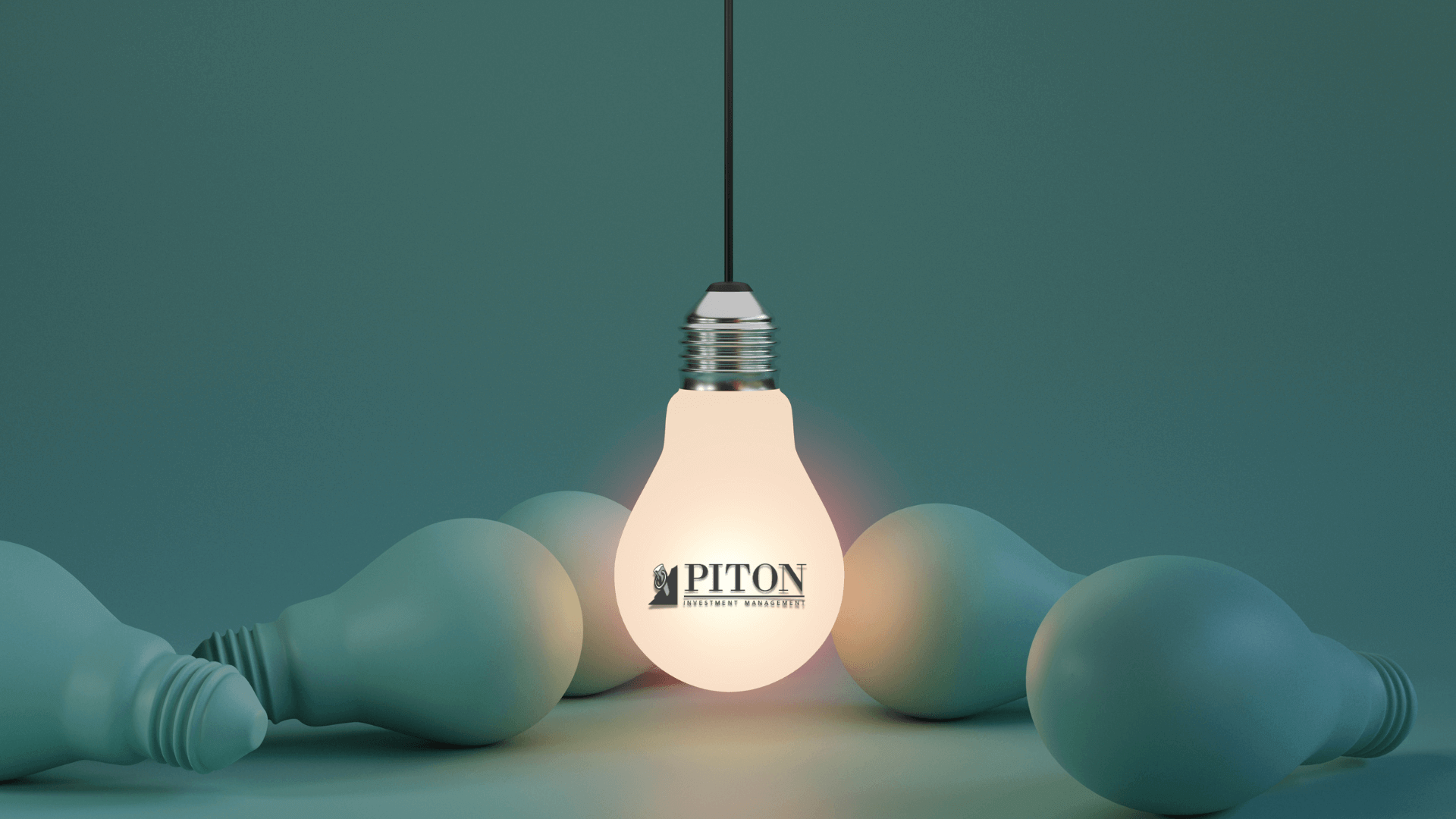 2025 Fixed Income Update with Piton Investment Management